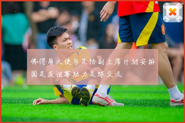 佛得角大使与足协副主席计划安排国足友谊赛助力足球交流